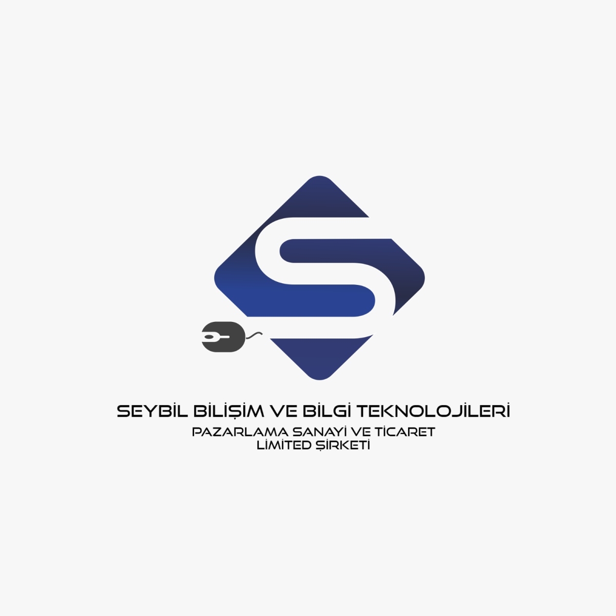 Seybil Bilişim ve Bilgi Teknolojileri